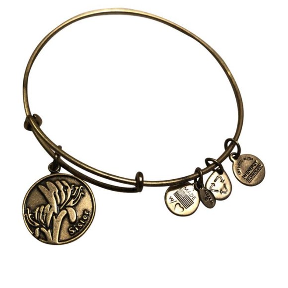 Alex and Ani Antique Gold Sister Charm Bangle Bracelet - Picture 1 of 4
